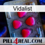 Vidalist 13